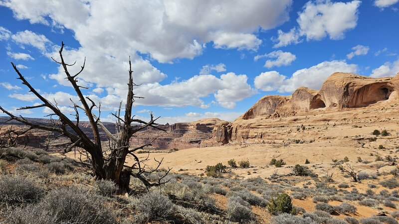 View from the trail.