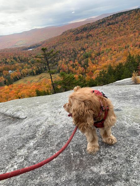 Summit of Wheeler Mountain during color season 10/9/22.