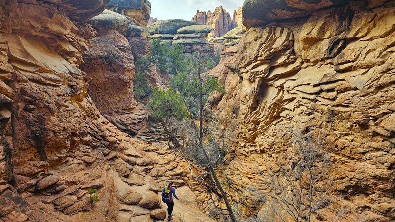 Chesler Park Trail section of Druid Arch Trail.