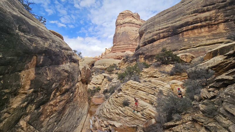 View from the trail