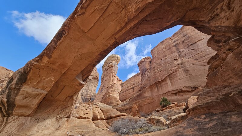 Tower Arch