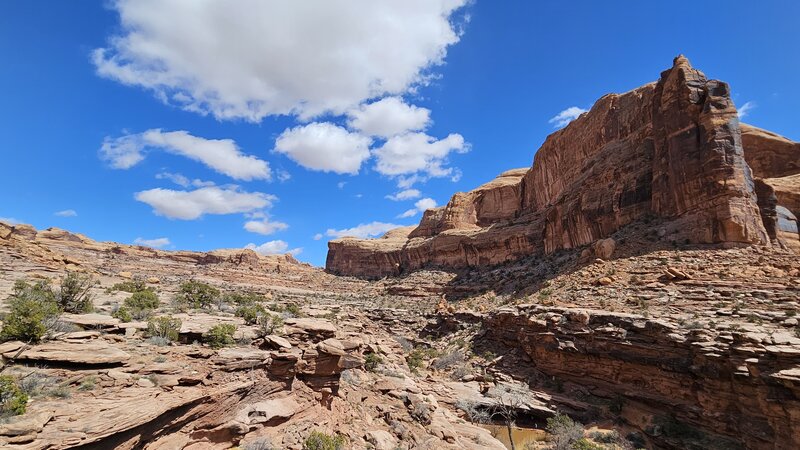 View from the trail.