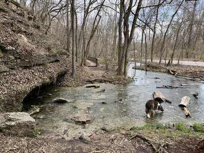 Stepping stones to get to the bridge.