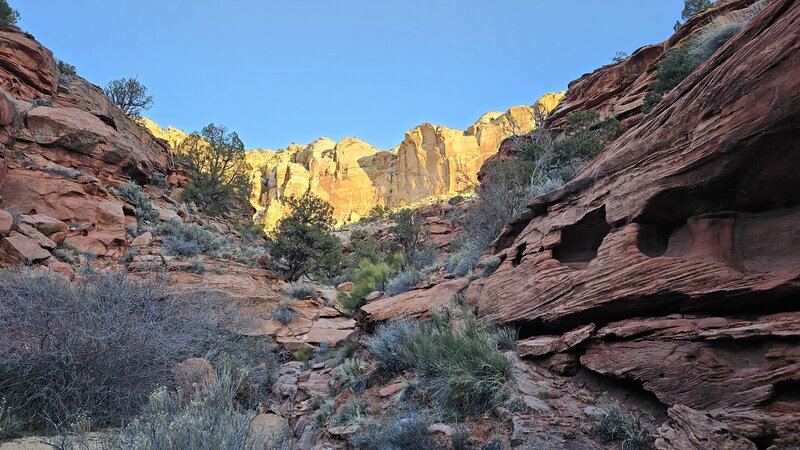 View from the trail.