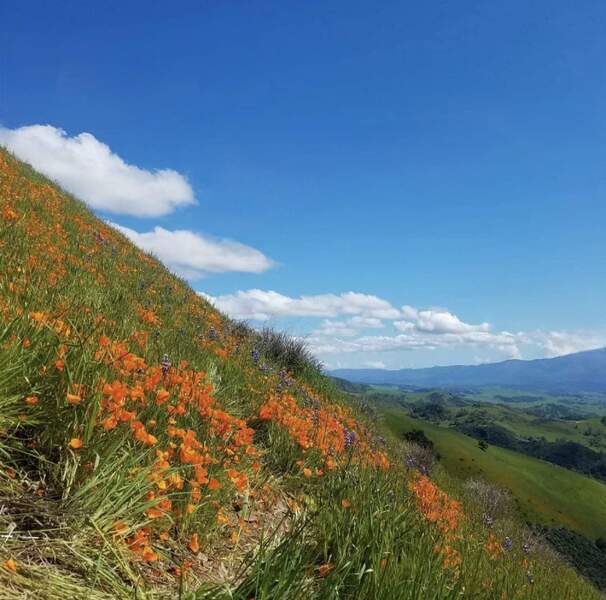 Grass Mountain in the spring!