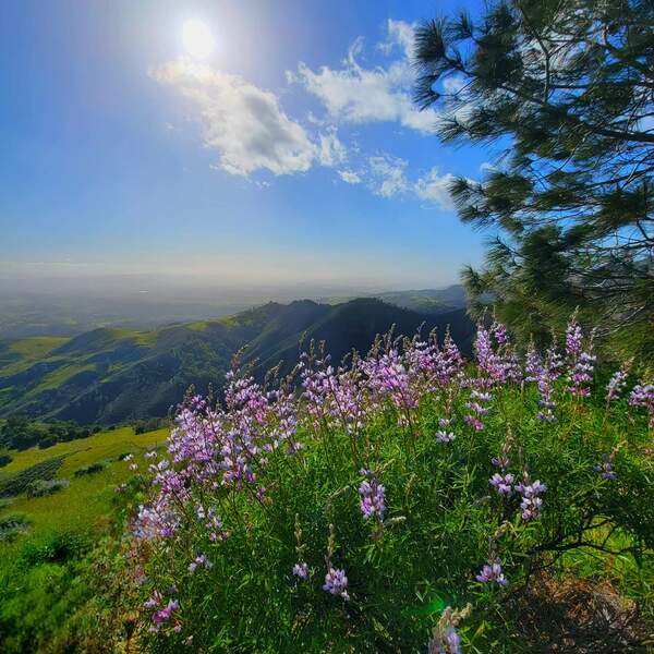 Grass Mountain in the spring!