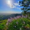 Grass Mountain in the spring!