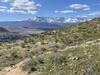 Views of Pine Valley Mountains in the background.