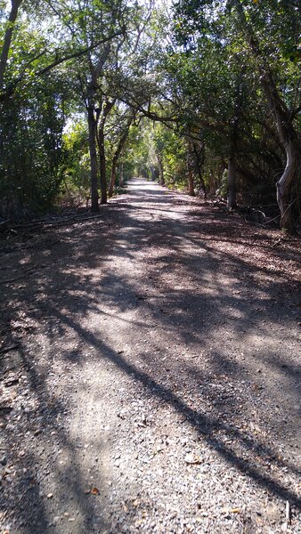 Entrance of trail.