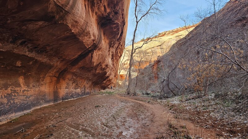 Neon Canyon