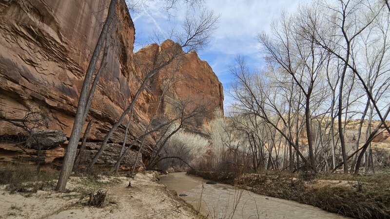 Escalante River: Escalante Town to Highway 12 Bridge Hiking Trail, Escalante, Utah