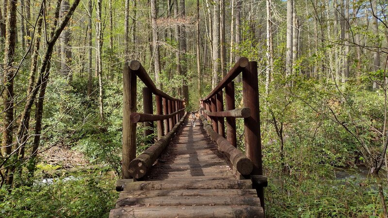 Bridge over the East Fork of the Chattooga, connecting to the Chattooga River Trail.