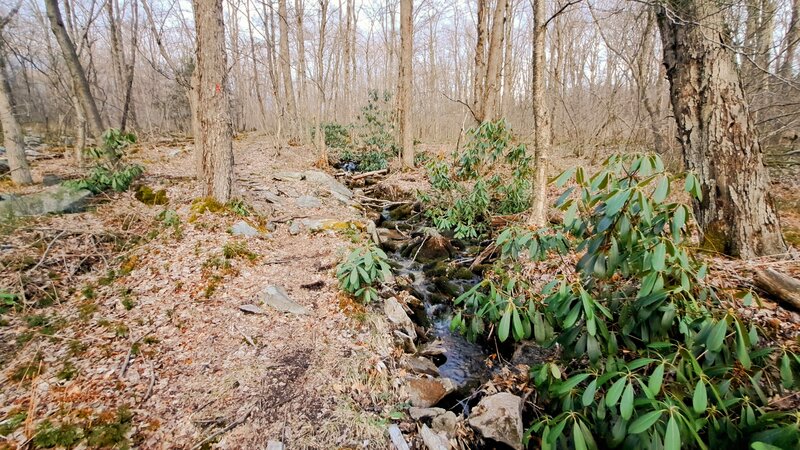 There is a good water source for campers at the midpoint of the trail.