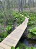 Lovely boardwalk