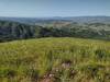 Barely visible in the distant haze (left center) is the South Bay and its metropolitan area, all surrounded by grassy and wooded hills abounding with spring wildflowers. Seen to the northwest from Bald Peaks Viewpoint.