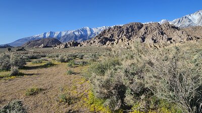 View from the trail