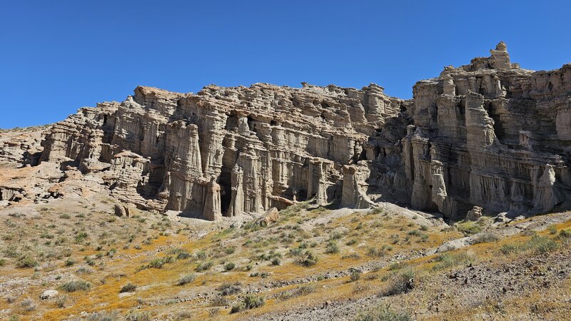 Exploring Hagen Canyon. Spring flowers.