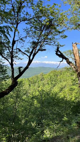 A view of the snowy mountains.