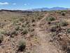 Trail looking back towards Kingman.