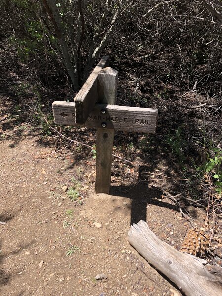 Trail junction sign