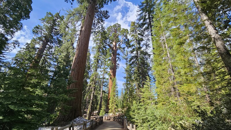 View from the trail.