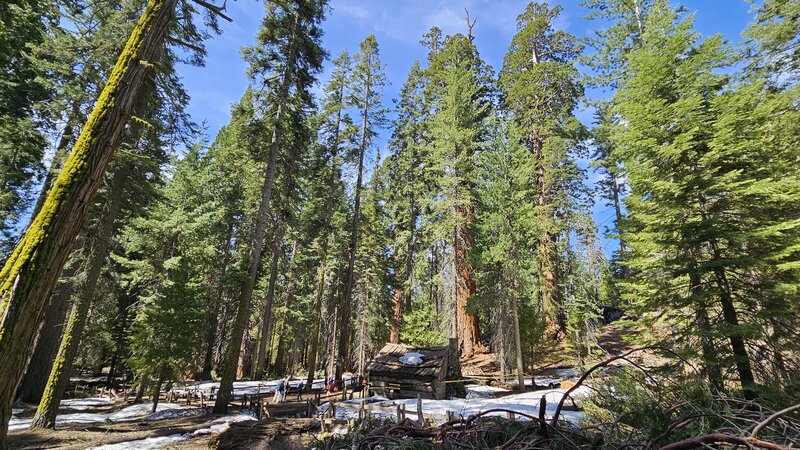 View from the trail.