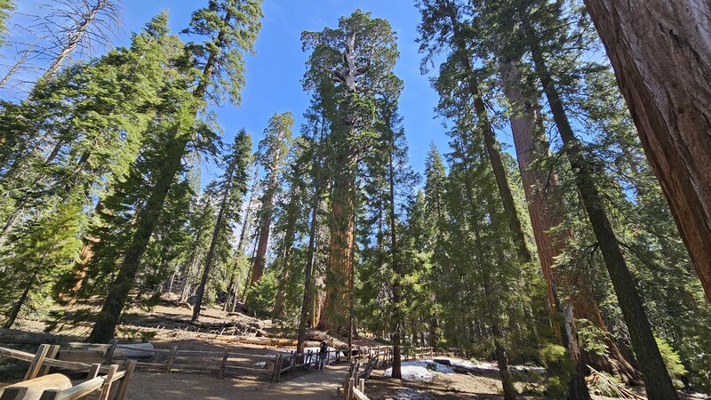 View from the trail.