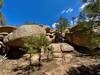 Granite Boulders in the shape of potatoes.