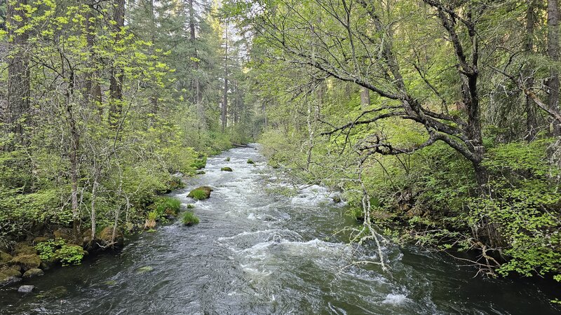 View from the trail.