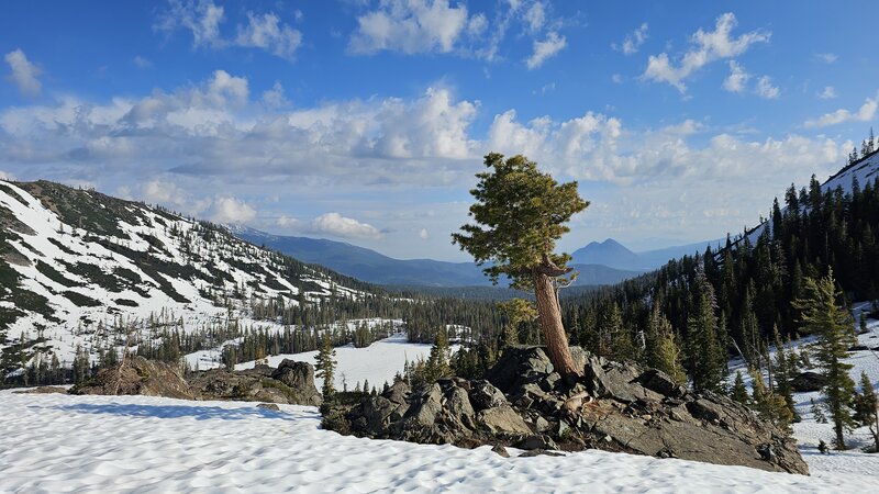 View from the trail area looking at Castle Lake and Black Butte.