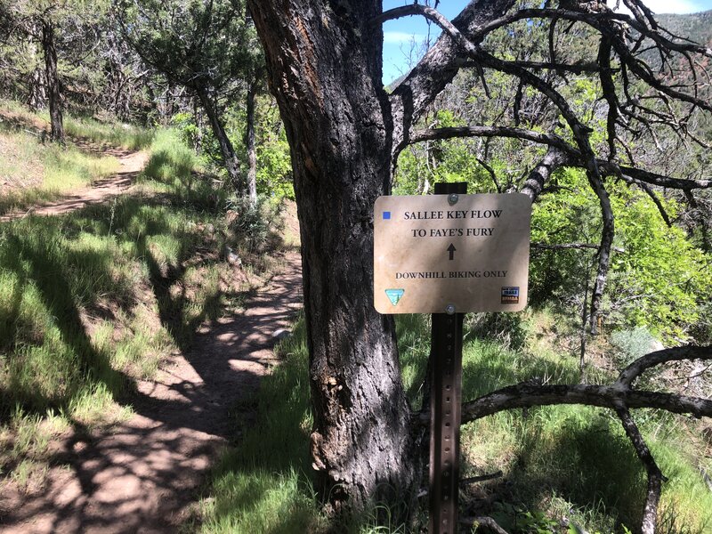 Trail sign from 5-way intersection.