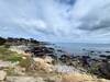 The coast at Pacific Grove.