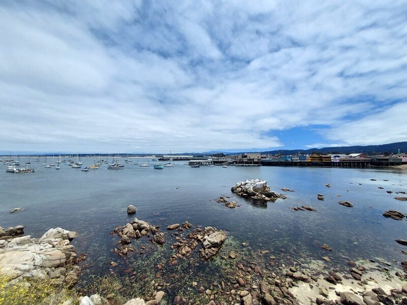 The harbor at Monterey.