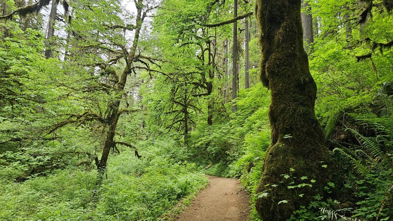 View from the trail.