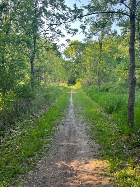 Starting section of the Loop, between marker 1-2.