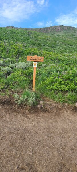 Merging into the Bonneville shoreline trail.