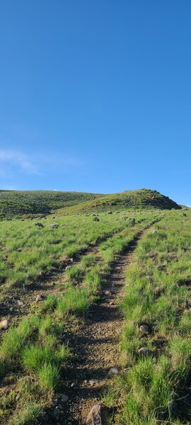 Once you get past the steep section, it will be doubletrack almost all the way to the top.