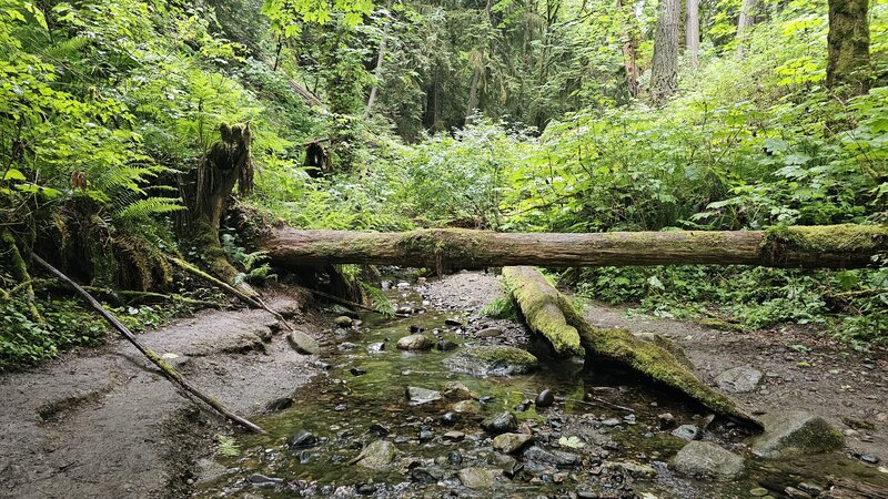 View from the trail.