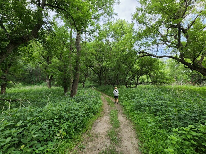 On the River View Loop Trail