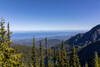 Looking across Lake Angeles towards the Salish Sea.