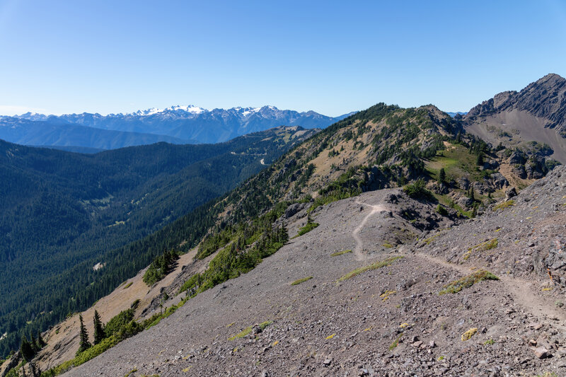 Mount Olympus from Klahhane Ridge.