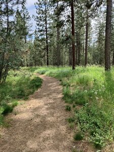 Nice day for hike.