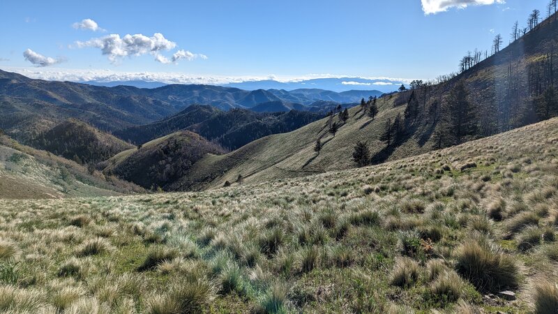 Looking east from the top of the Aspen Trail. The trail is visible switchbacking across the alpine meadow.