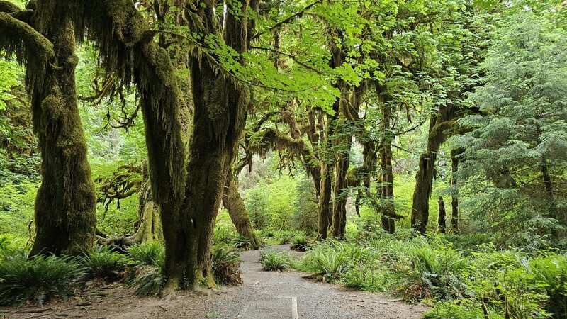 View from the trail.