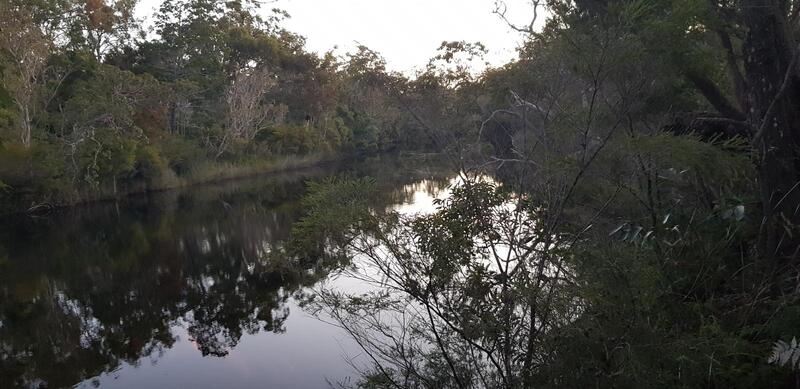 View of the Noosa River.