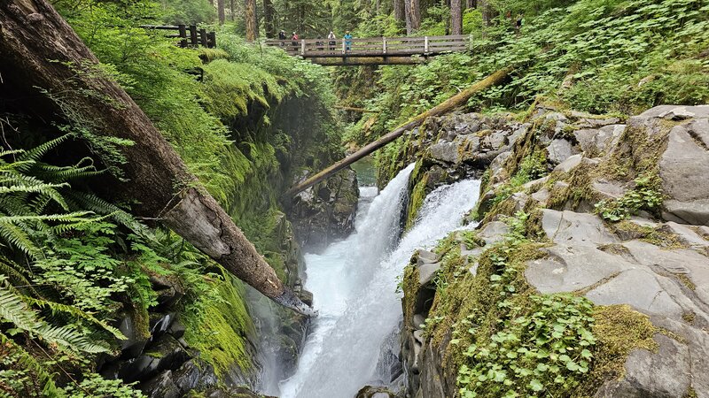 Sol Duc Falls.