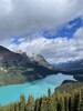 View of Peyto Lake from the Glacier viewpoint.