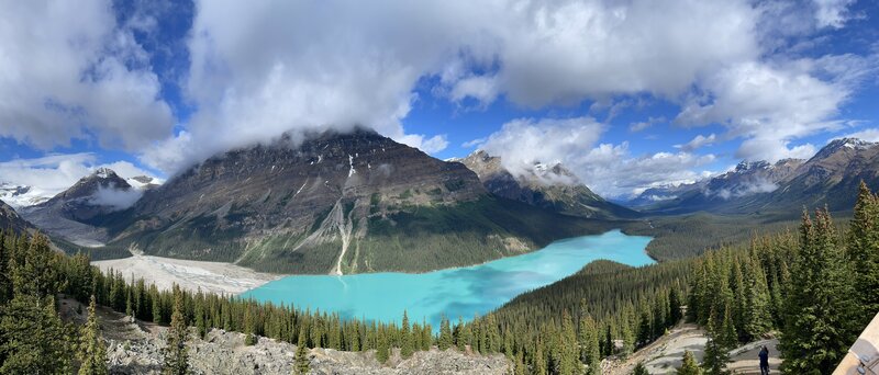 Panoramic view of Peyto Glacier to the left and Peyto Lake from the Glacier Viewpoint.