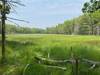 Henry Creek Meadow.