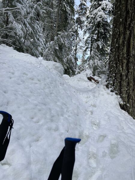 Lots of snow on the North Ridge Trail in the winter.